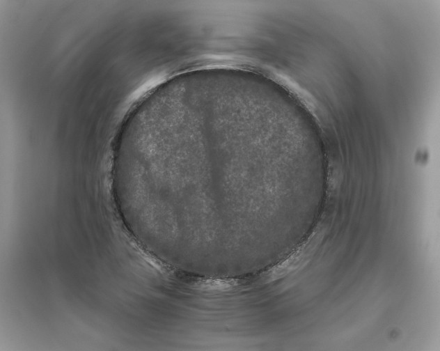 X0000096141411200802011200