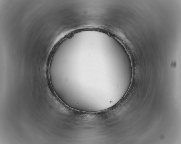 X0000096141412200802011200