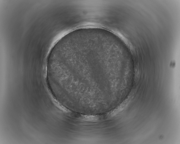X0000096141413200802011200