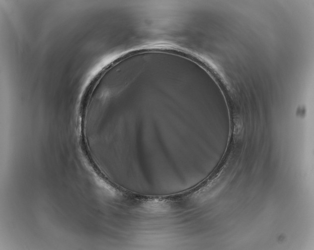 X0000096141414200802011200