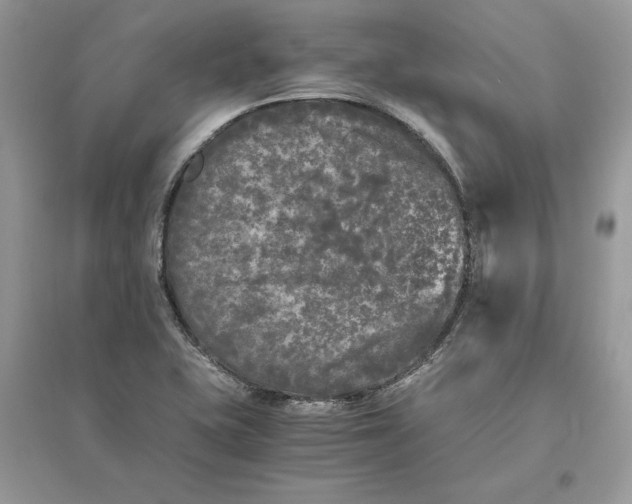 X0000096141415200802011200