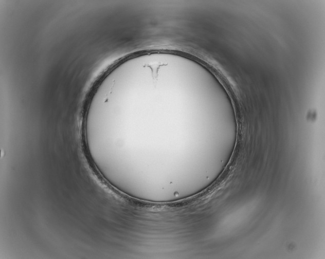 X0000096141416200802011200