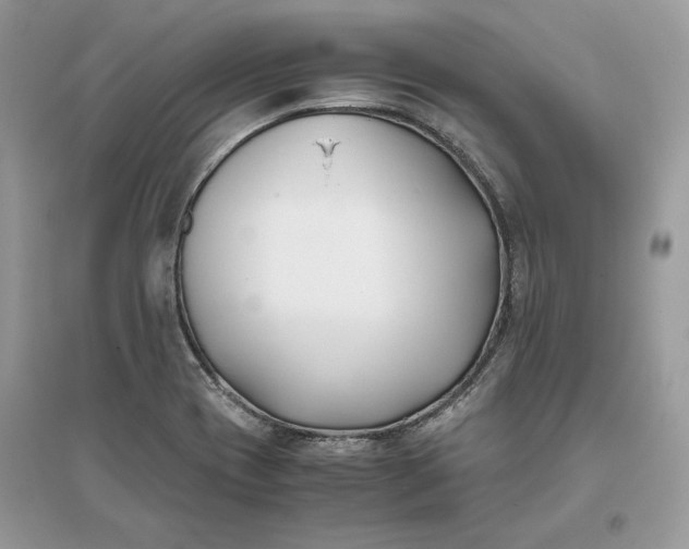 X0000096141417200802011200