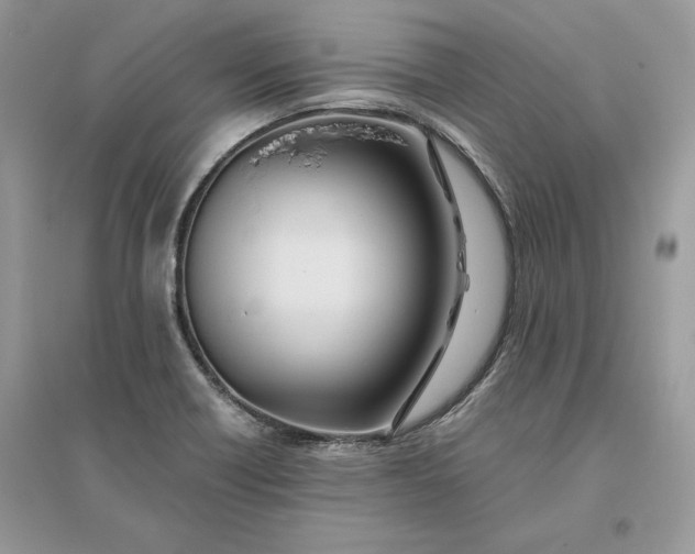 X0000096141418200802011200