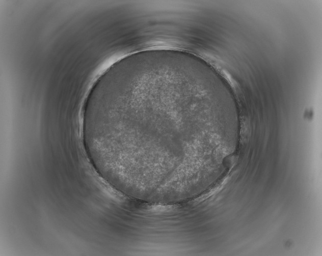 X0000096141419200802011200