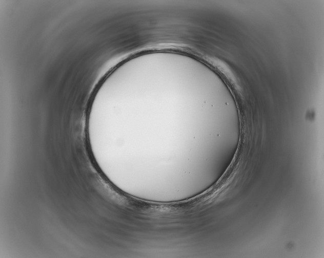 X0000096141420200802011200