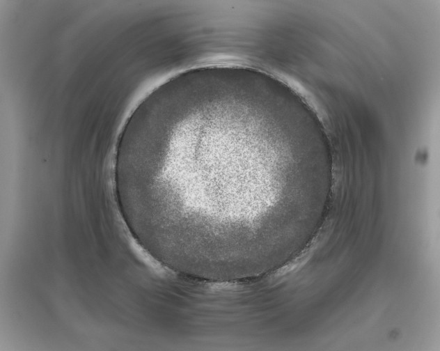 X0000096141421200802011200