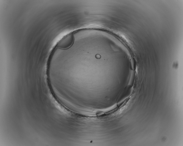 X0000096141422200802011200