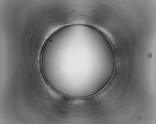X0000096141423200802011200