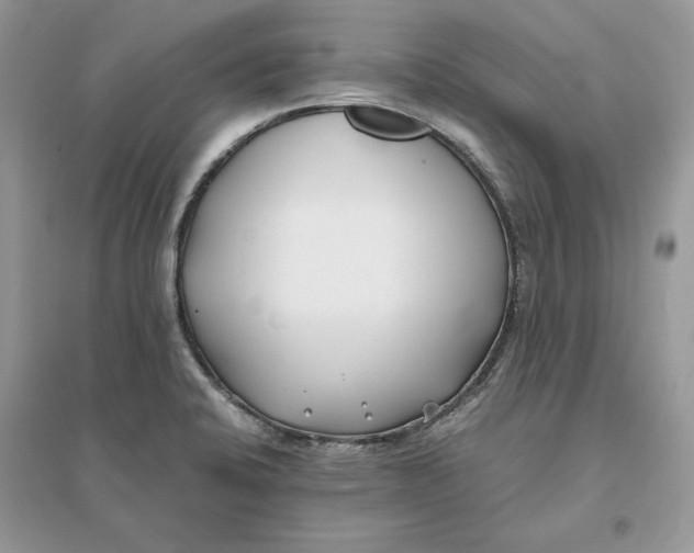 X0000096141424200802011200