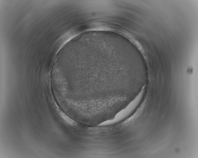 X0000096141425200802011200