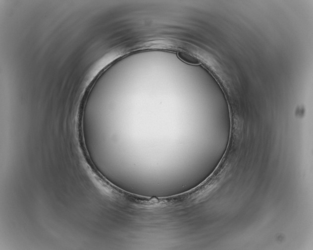 X0000096141426200802011200
