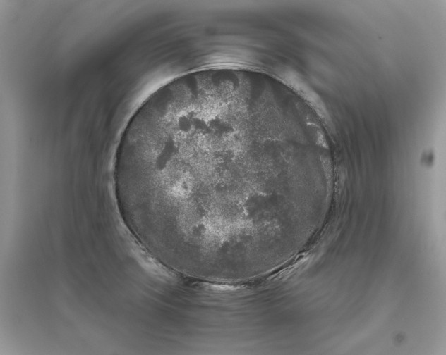 X0000096141427200802011200