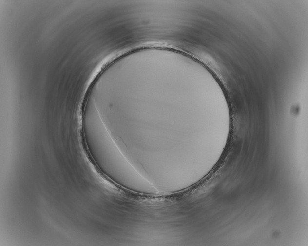 X0000096141428200802011200