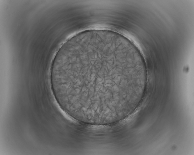 X0000096141429200802011200