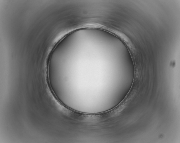 X0000096141430200802011200
