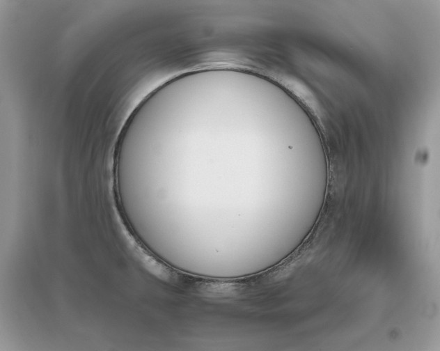 X0000096141431200802011200