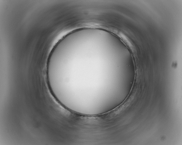 X0000096141432200802011200