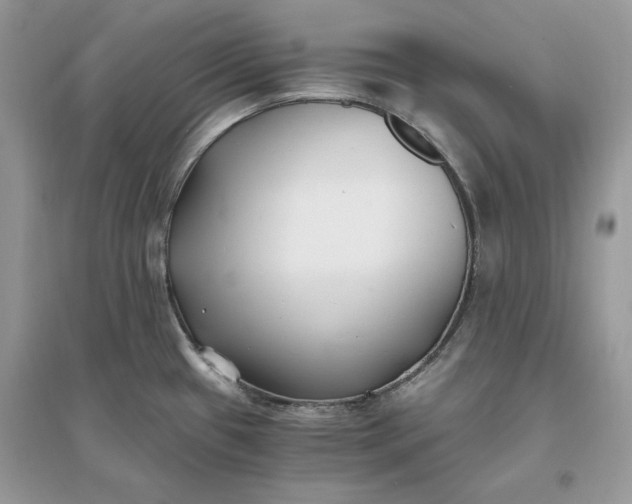 X0000096141433200802011200