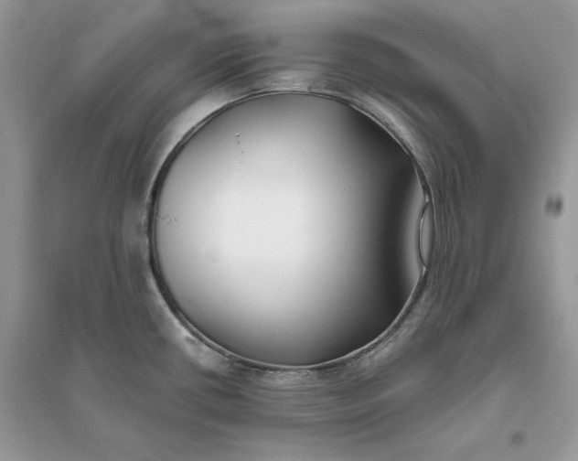 X0000096141434200802011200