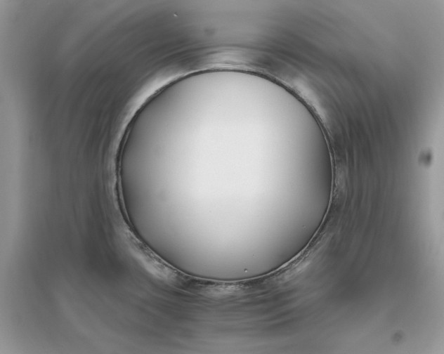 X0000096141435200802011200