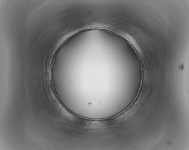 X0000096141436200802011201