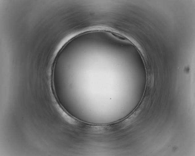X0000096141438200802011201
