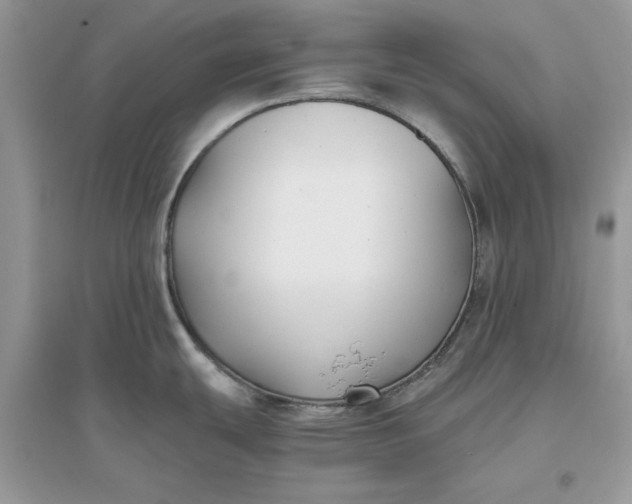 X0000096141439200802011201