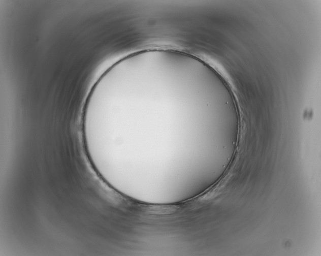 X0000096141440200802011201