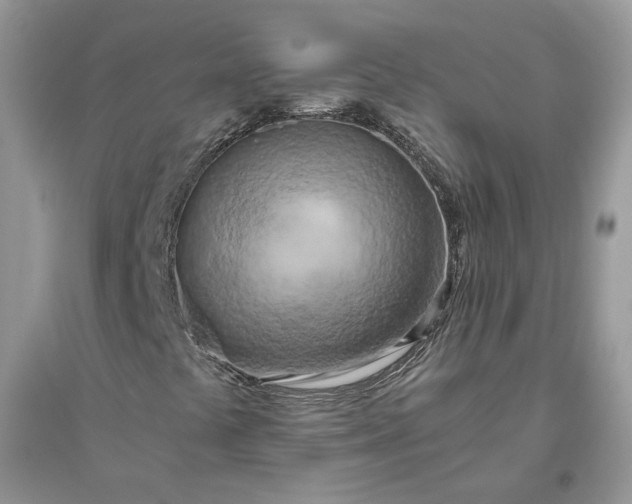 X0000096141441200802011200