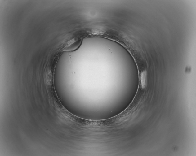 X0000096141443200802011200