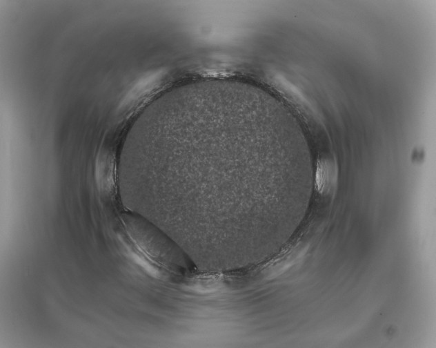 X0000096141444200802011200