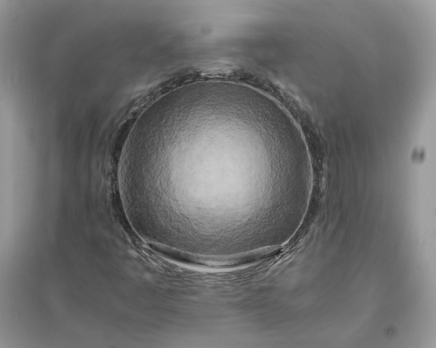 X0000096141445200802011200
