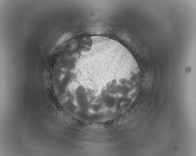 X0000096141446200802011200
