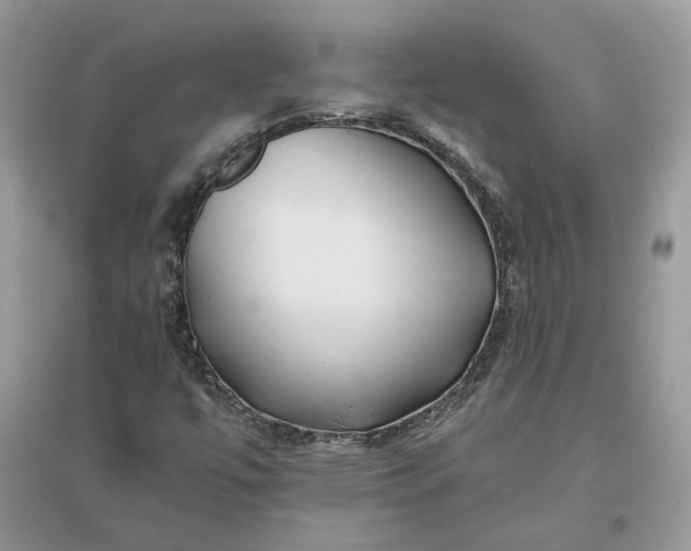 X0000096141447200802011200