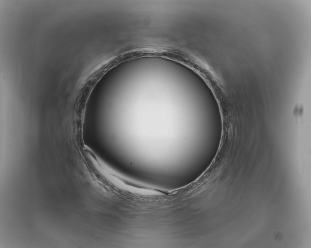 X0000096141448200802011200