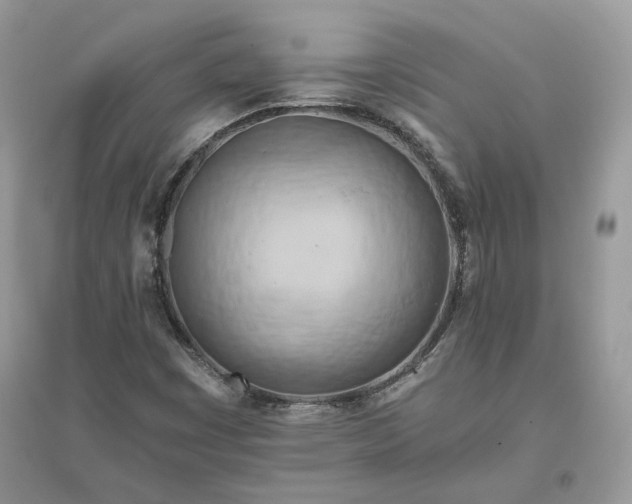 X0000096141449200802011200