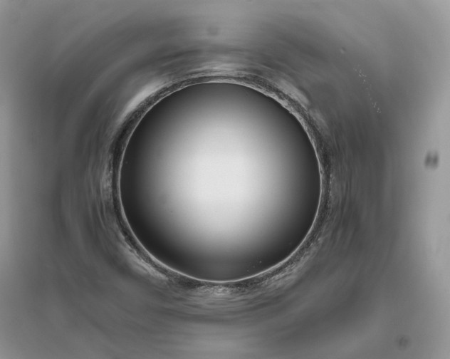 X0000096141450200802011200