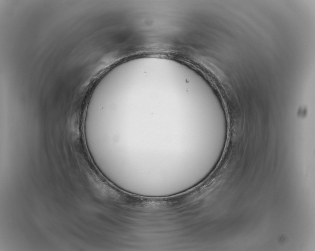 X0000096141451200802011200