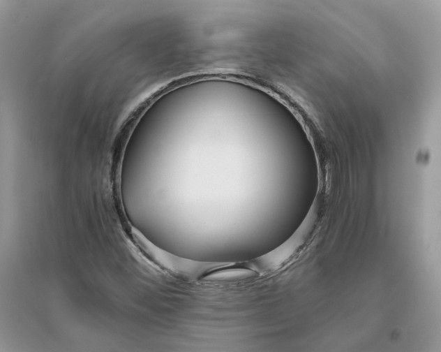 X0000096141452200802011200