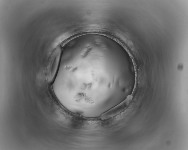 X0000096141453200802011200