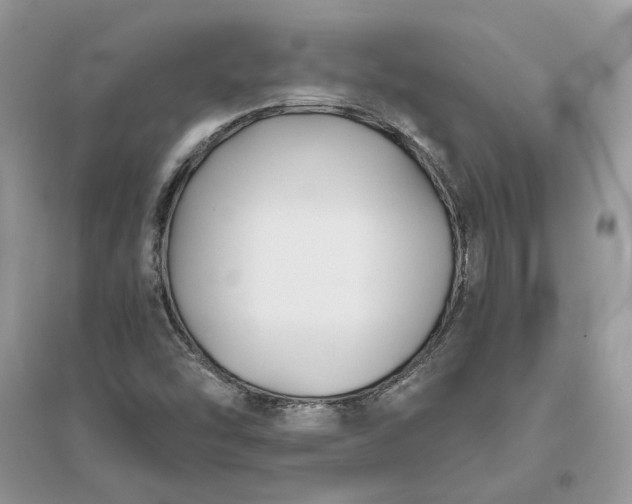 X0000096141454200802011200