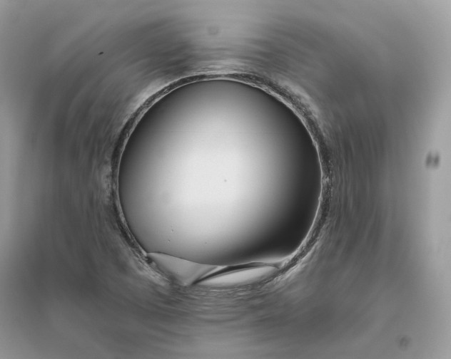X0000096141457200802011200