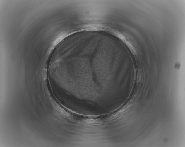 X0000096141459200802011200