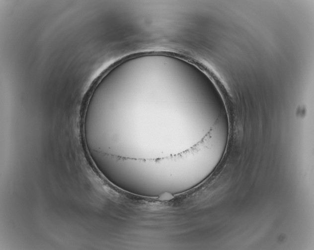 X0000096141460200802011200
