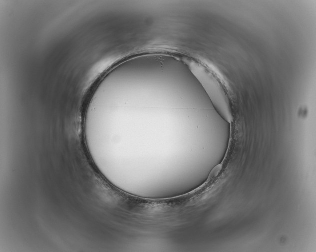 X0000096141461200802011200