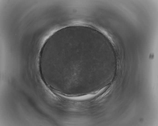 X0000096141463200802011200