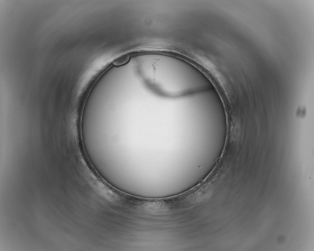 X0000096141464200802011200