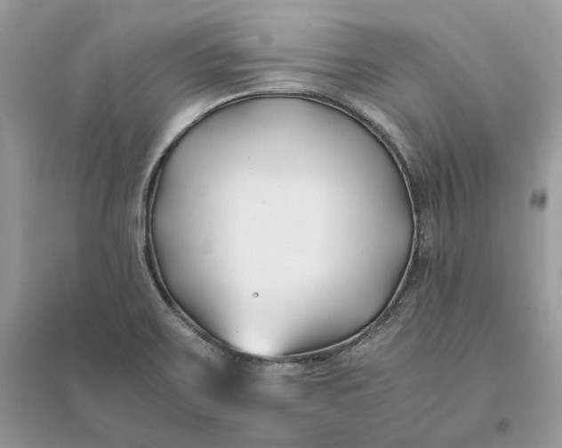X0000096141467200802011200