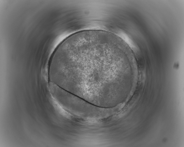 X0000096141468200802011200